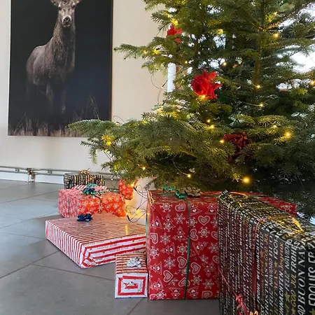 Le Pas Du Loup Semesterbostad Hulsonniaux