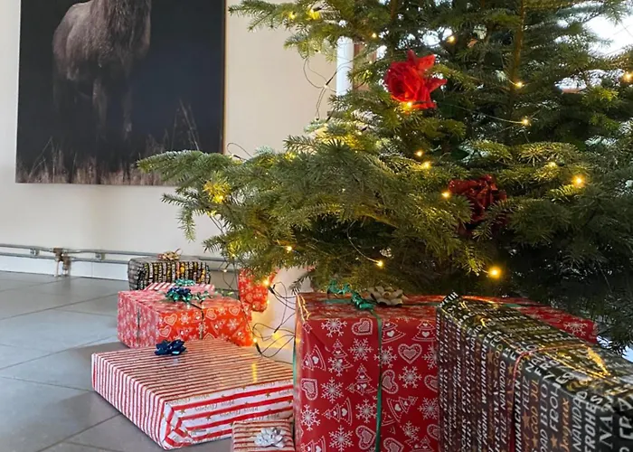 Le Pas Du Loup Ferienhaus Hulsonniaux